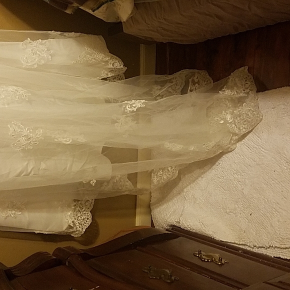 Wedding Dress and veil - Picture 9 of 10